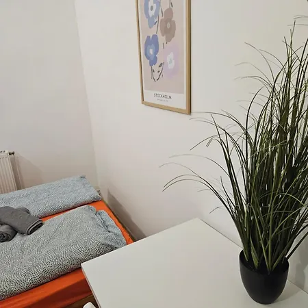 Auberge de jeunesse Vibrant Center